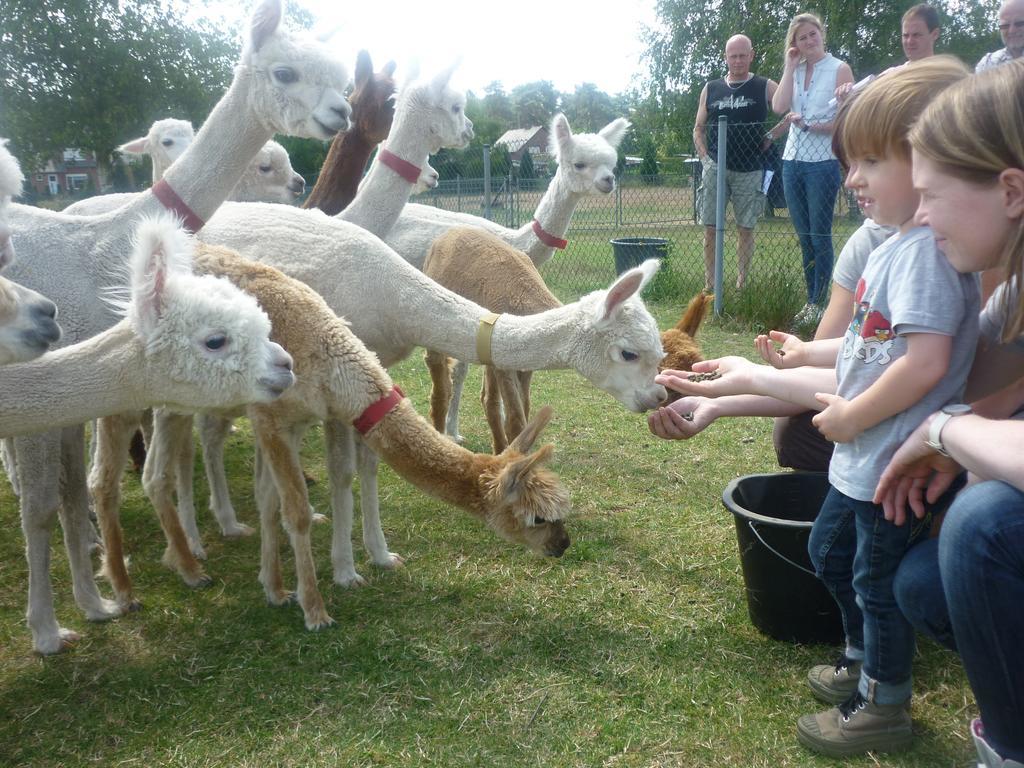 De Alpacaboerderij Appartement Bocholt Buitenkant foto