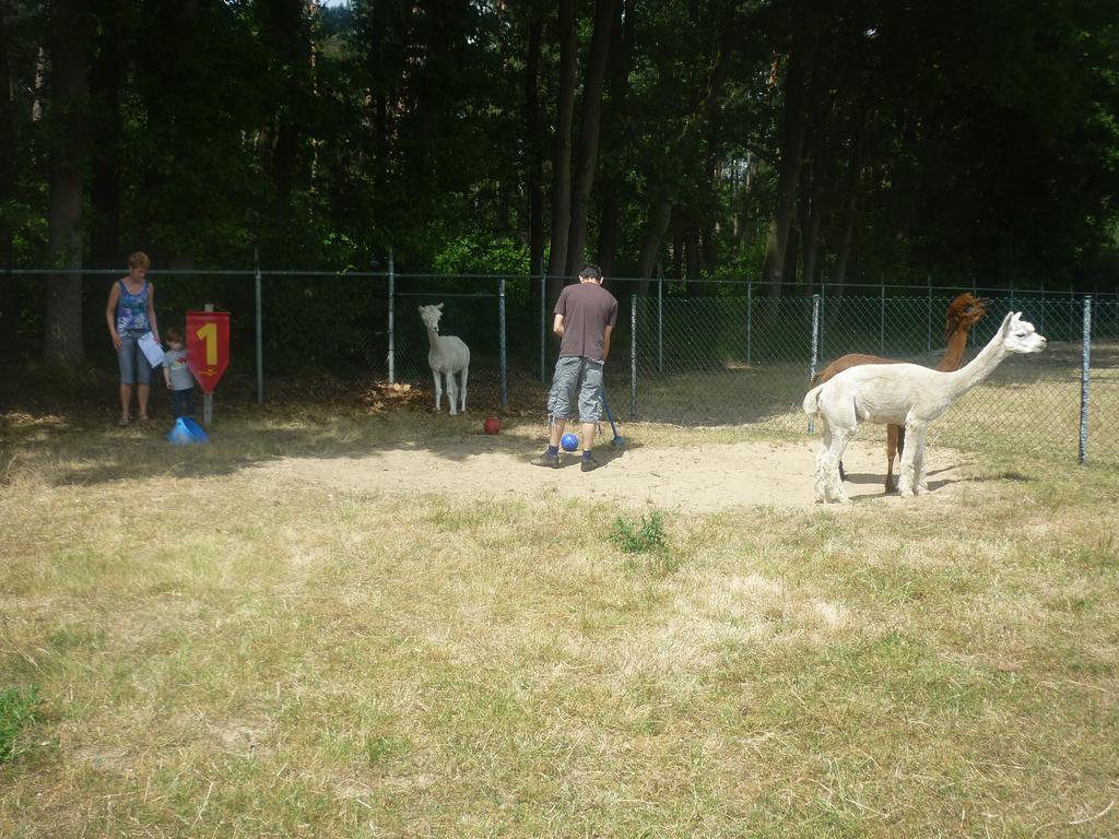 De Alpacaboerderij Appartement Bocholt Buitenkant foto